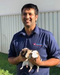 Dr Ryan  Stevenson Heathcote Veterinary Hospital Heathcote
