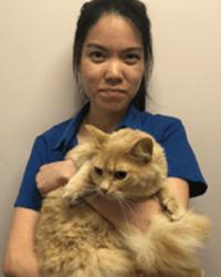 Dr Sabrina  Tan Vetwest Cockburn Success