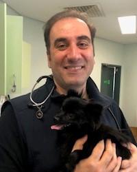 Dr Sam  Amirgoodarzi Kingsway Veterinary Centre Madeley