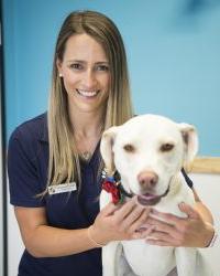 Dr Samantha Crane Ivanhoe Veterinary Clinic Ivanhoe