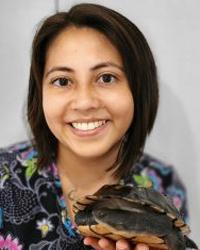 Dr Sarah Foo Avian Reptile and Exotic Pet Hospital Brownlow Hill