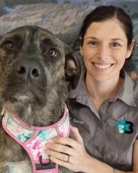 Dr Sarah Moffitt Bli Bli Veterinary Surgery Bli Bli