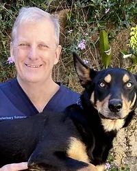 Dr Scott Chapman The Gap Veterinary Surgery The Gap