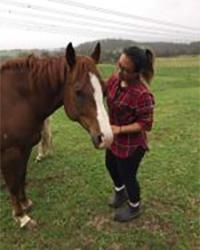 Dr Ser Lin Lim Ballarat Veterinary Practice - Equine Clinic Miners Rest