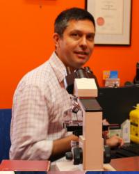 Dr Simon Williams Eight Mile Plains Vet Surgery Eight Mile Plains