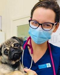Dr Stephanie  Clark Brassall Veterinary Surgery Brassall