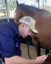 Dr Stuart Milne Lockyer Valley Veterinarian Woodlands