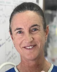 Dr Sue Harvey Sweet Pea Animal Hospital Forster