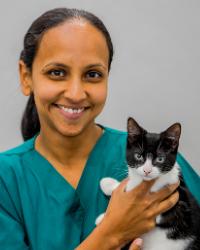Dr Sue Ramoo Lort Smith Animal Hospital North Melbourne North Melbourne