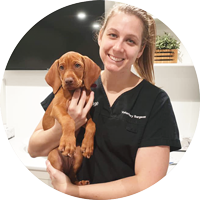 Dr Tamara  Beasley The Vet Lounge Currumbin Currumbin Waters