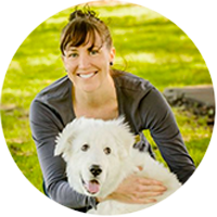 Dr Tennille Bignell Collaroy Veterinary Hospital Collaroy