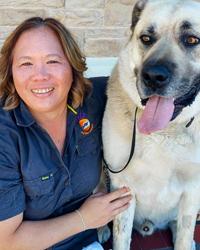 Dr Veronica Wah Day Fulham Gardens Animal Hospital Fulham Gardens