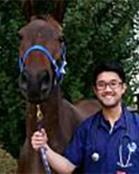 Dr Wei Yeh  Lee Ballarat Veterinary Practice - Equine Clinic Miners Rest