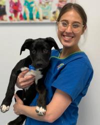 Ms Monique Berryman The Pet Practice St. James